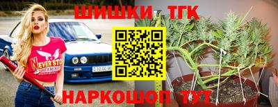 первитин Камышлов